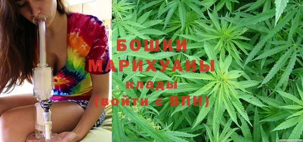 индика Навашино