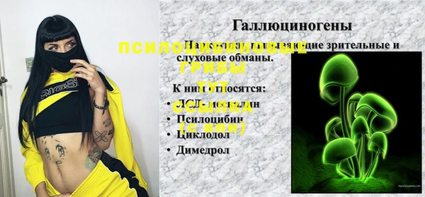 гидра Наволоки