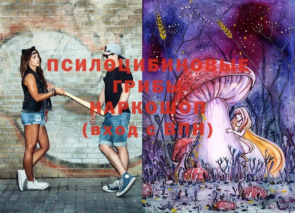индика Навашино