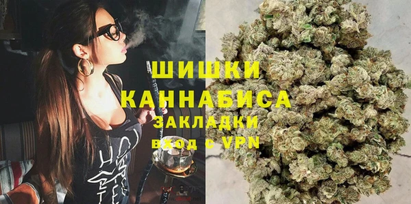 индика Навашино