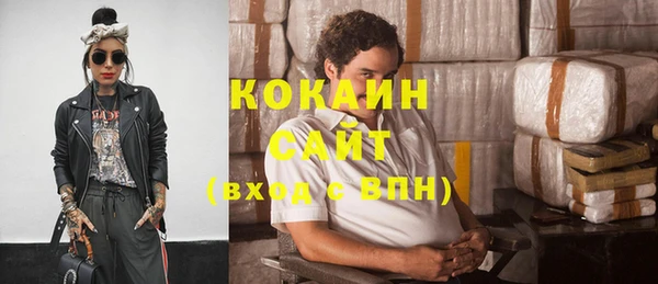 индика Навашино