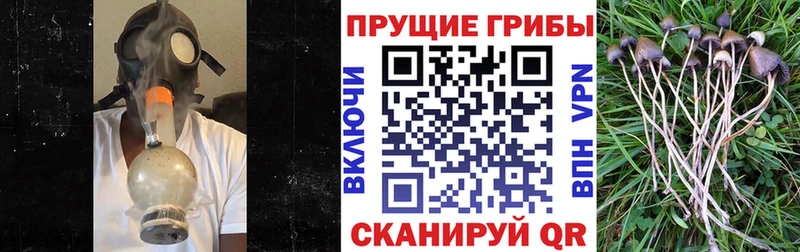 Галлюциногенные грибы прущие грибы  Тулун 