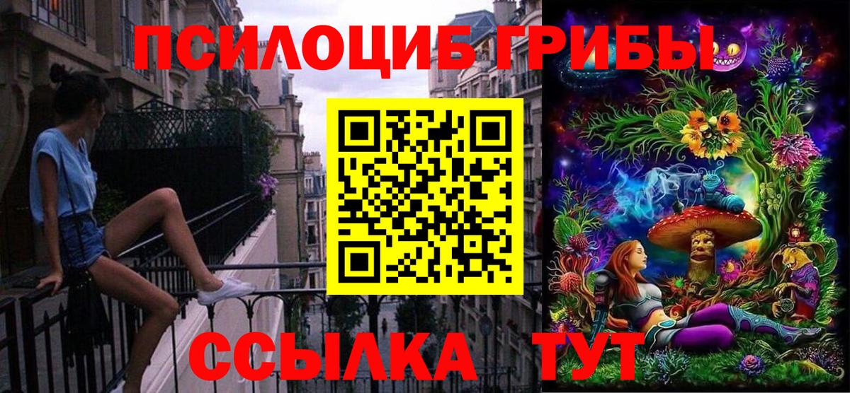 Галлюциногенные грибы Psilocybine cubensis Тулун