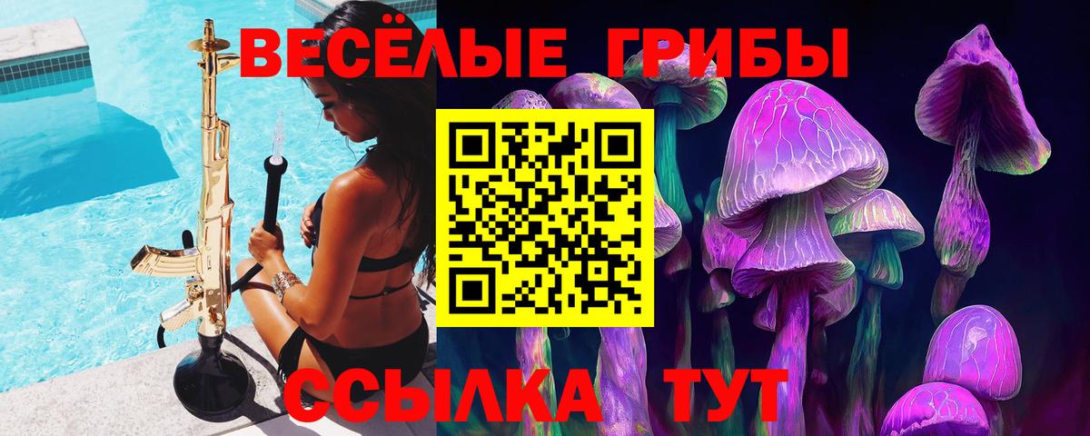 Галлюциногенные грибы MAGIC MUSHROOMS  Тулун  Галлюциногенные грибы GOLDEN TEACHER 