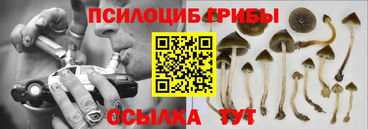 Галлюциногенные грибы Psilocybine cubensis  Вход с VPN  Галлюциногенные грибы Magic Shrooms  Тулун 
